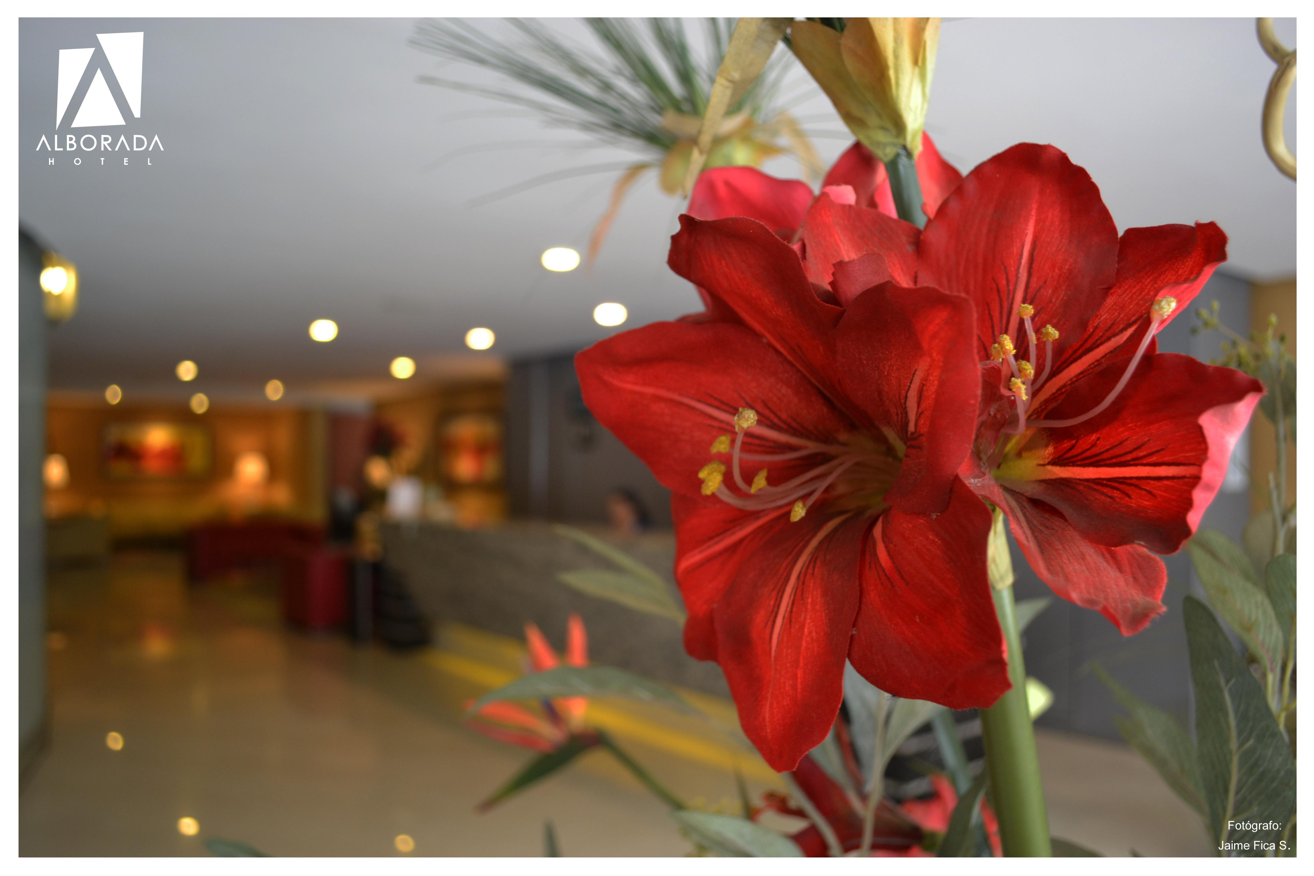 Hotel Alborada Concepción Dış mekan fotoğraf