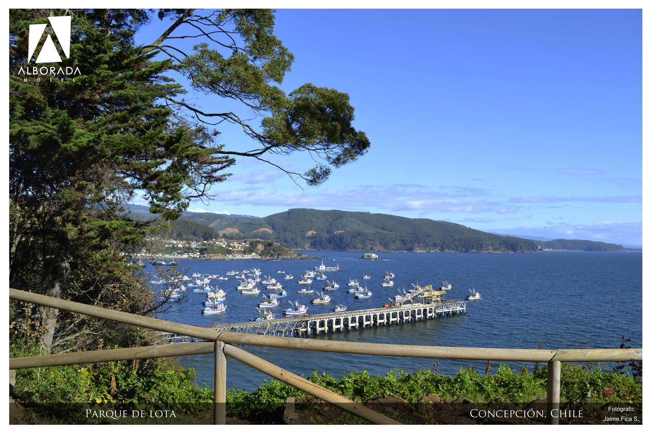 Hotel Alborada Concepción Dış mekan fotoğraf